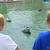 Young skippers running Admirals club tugs at the DNR "Cement Pond" at the Indiana State Fair.  This is another annual event members look forward to in August.